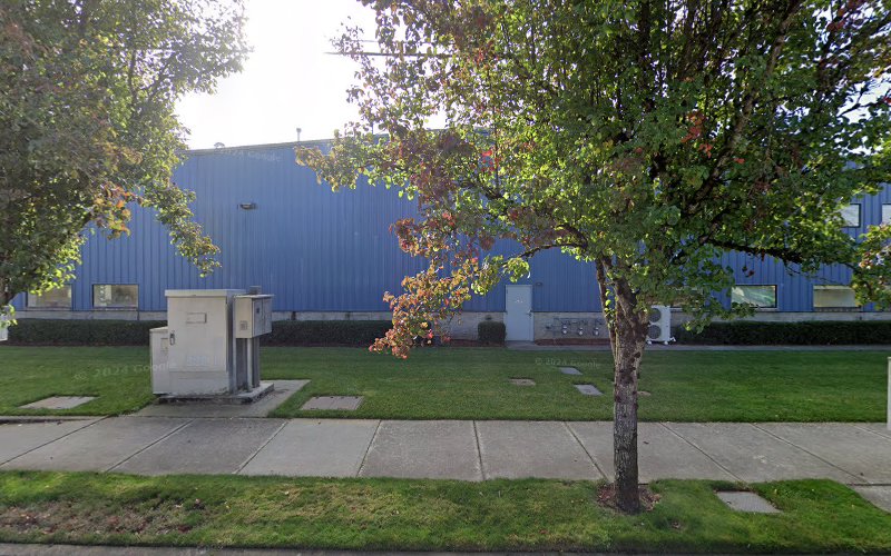Pilot Plumbing and Drain