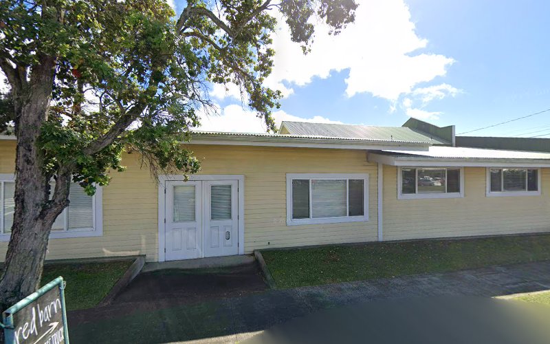 Big Island Mechanical & Construction LLC