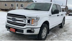 2019 Ford F-150 XLT for Sale