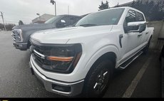 2024 Ford F-150 XLT for Sale