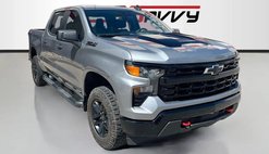 2023 Chevrolet Silverado 1500 Custo for Sale