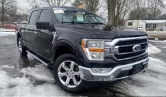 2023 Ford F-150 XLT for Sale