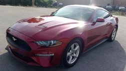 2019 Ford Mustang Base for Sale