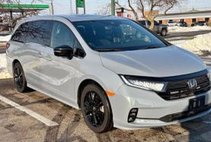 2024 Honda Odyssey Sport for Sale