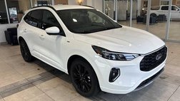 2023 Ford Escape ST-Line Elite for Sale