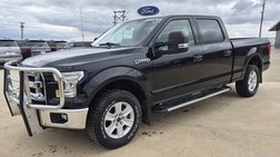 2017 Ford F-150 XLT for Sale