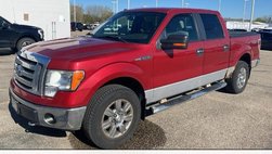 2009 Ford F-150 XLT for Sale