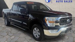 2021 Ford F-150 XLT for Sale