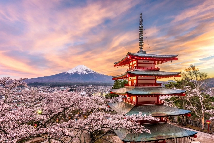 Japan Sakura Season Spring Break Trip Guide For First Timers