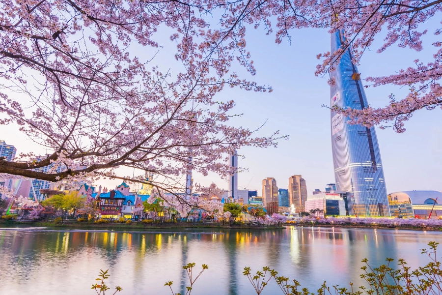 Spring Break Trip Guide To South Korea For Cherry Blossom