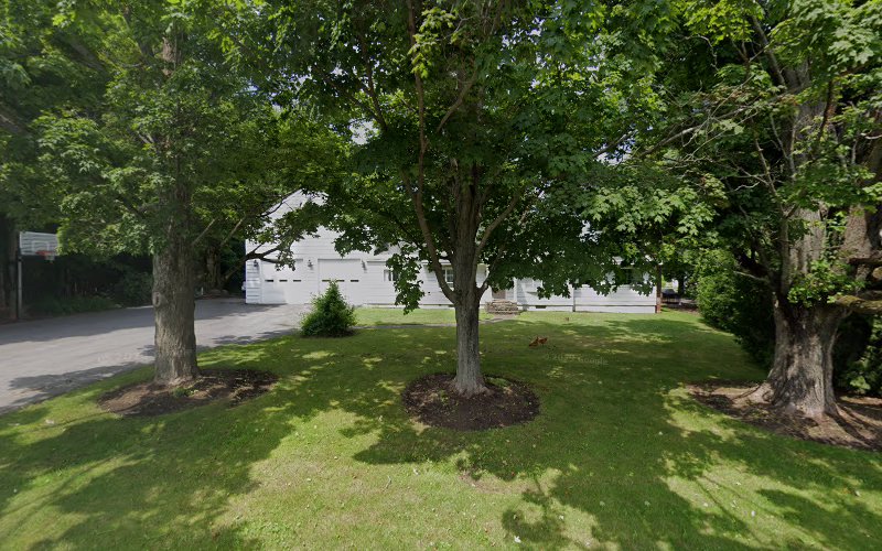 Upstate NY Tree Service