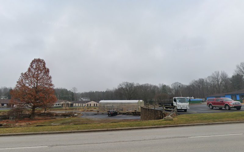 C. Lee Services