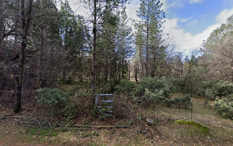 Grass Valley Electric