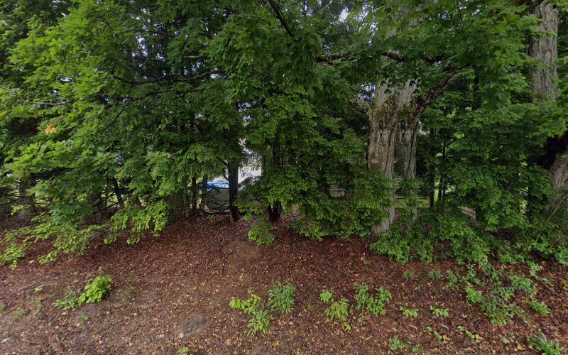 Cedar Mill Group