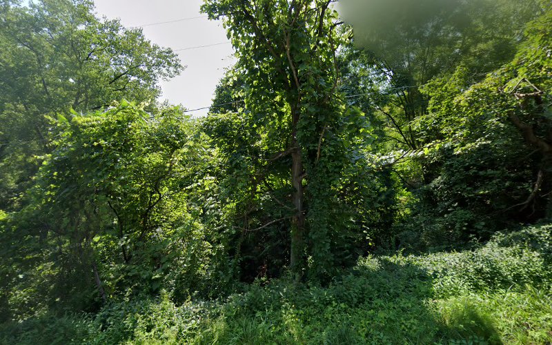McGinnis Nelson Construction, Inc