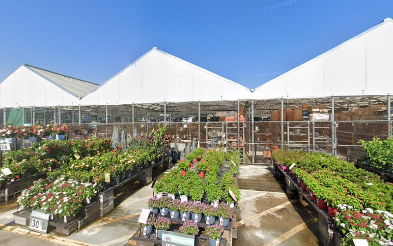 Lowe's