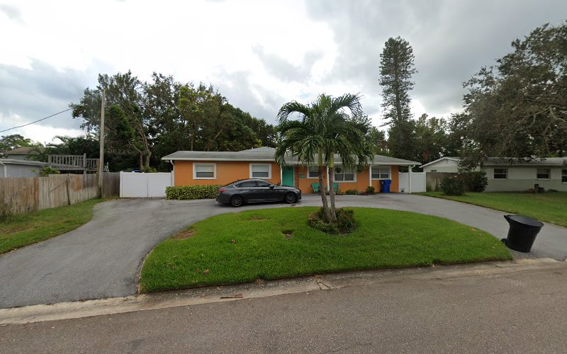 WSV Group, Inc.