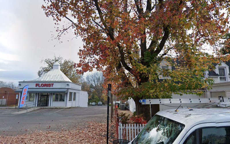 Roto-Rooter Plumbing & Drain Service