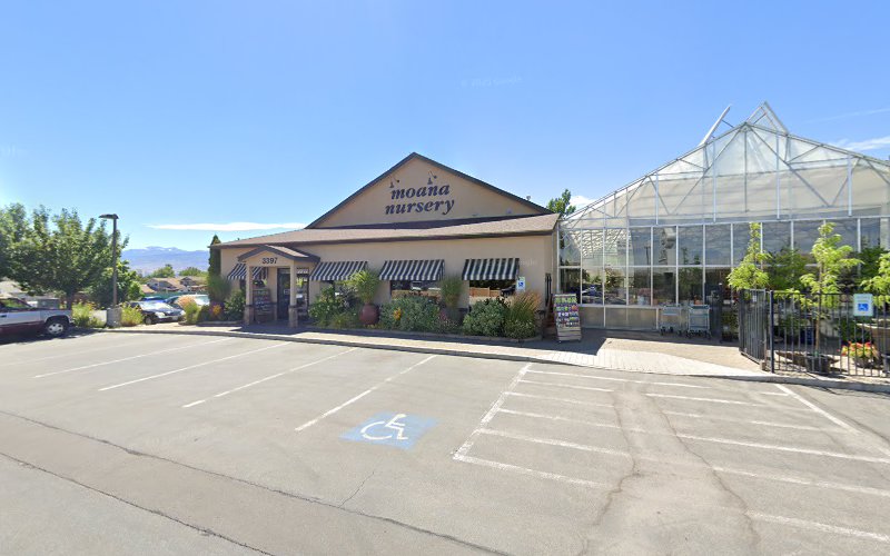 Moana Nursery