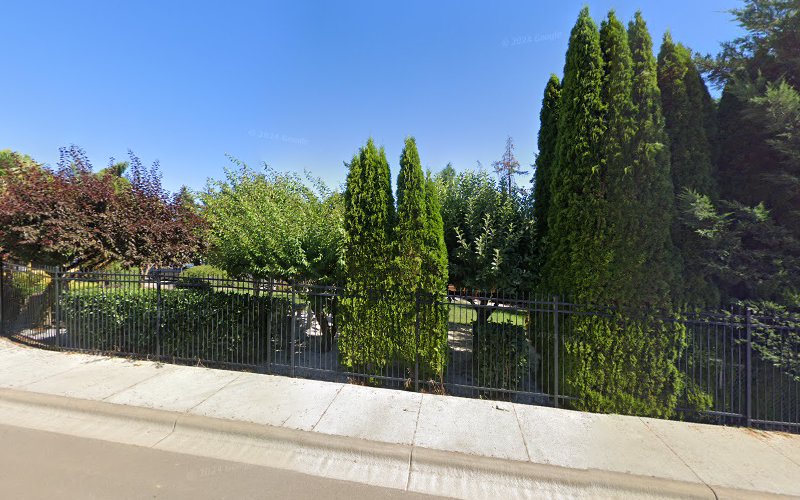 Willy Chavez Landscape Services Inc