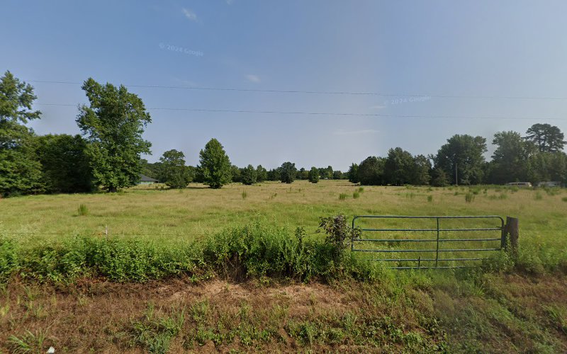 Forest Kinney Electric
