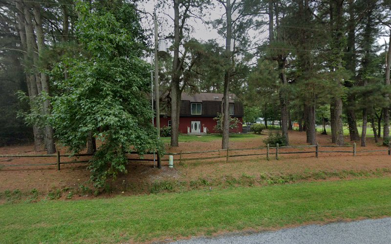 Swamps Property Maintenance