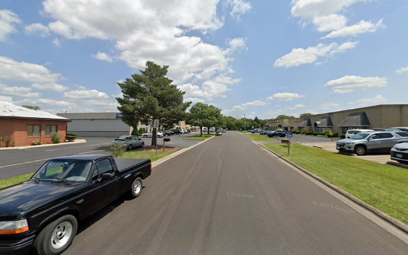 The Maids of the Southwestern Suburbs