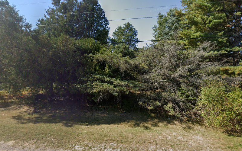 Bear Creek Property Solutions