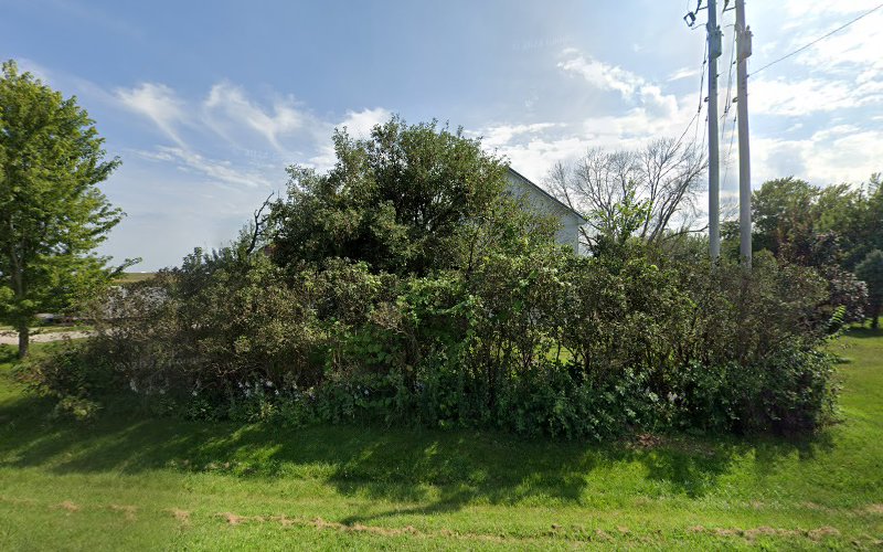 Wildman Roofing