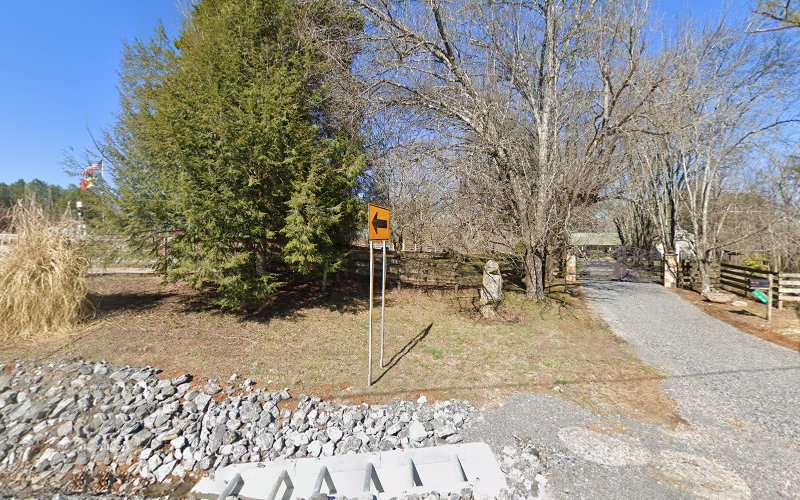 Black Fox Pet Resort