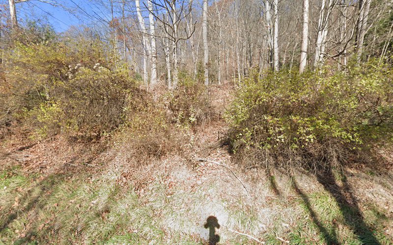 Brunner Contracting and Excavating LLC