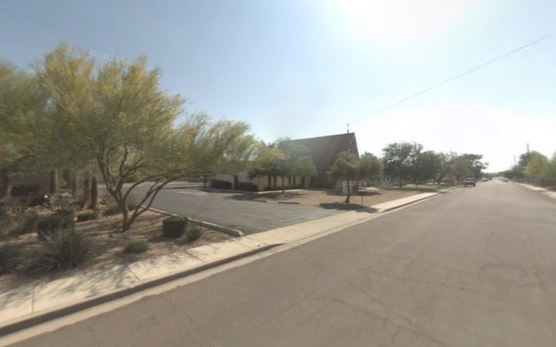 Camelview Domestic Placement Service LLC