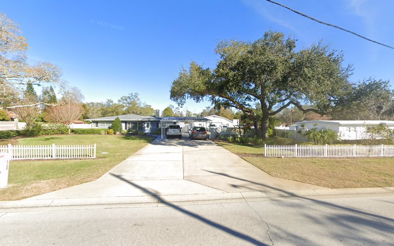 Palm Harbor & Dunedin Electric