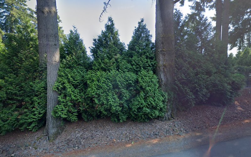 Portland Electric Company