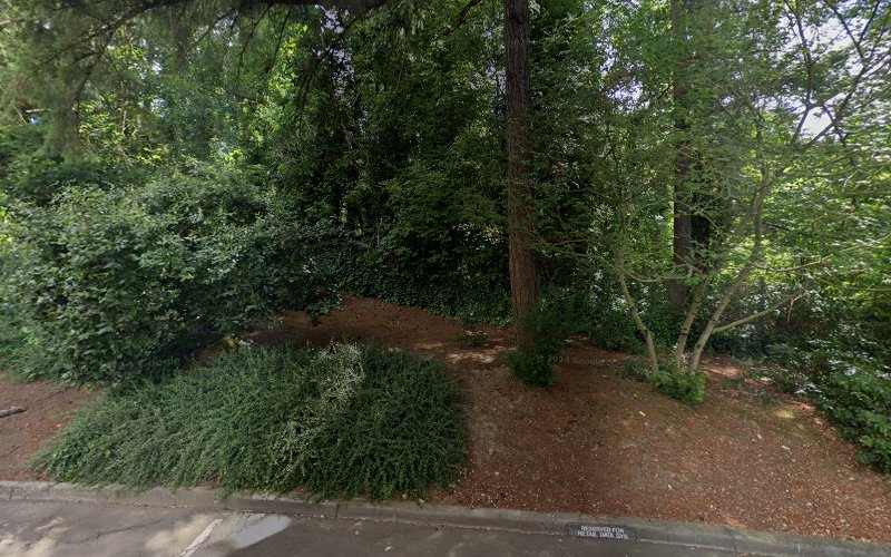 Pacific Network Inc