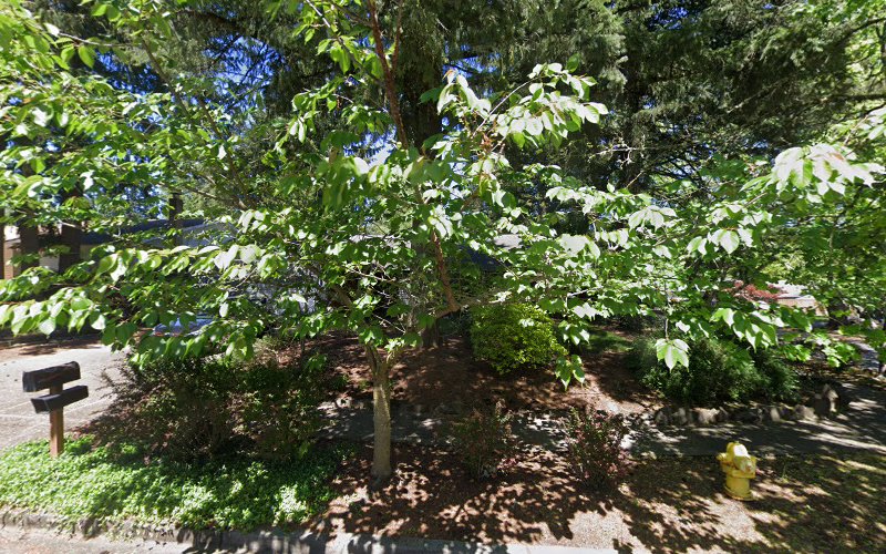 Evergreen Renovations Inc