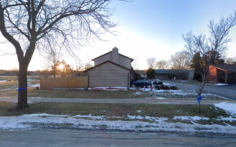 Maid in Illinois