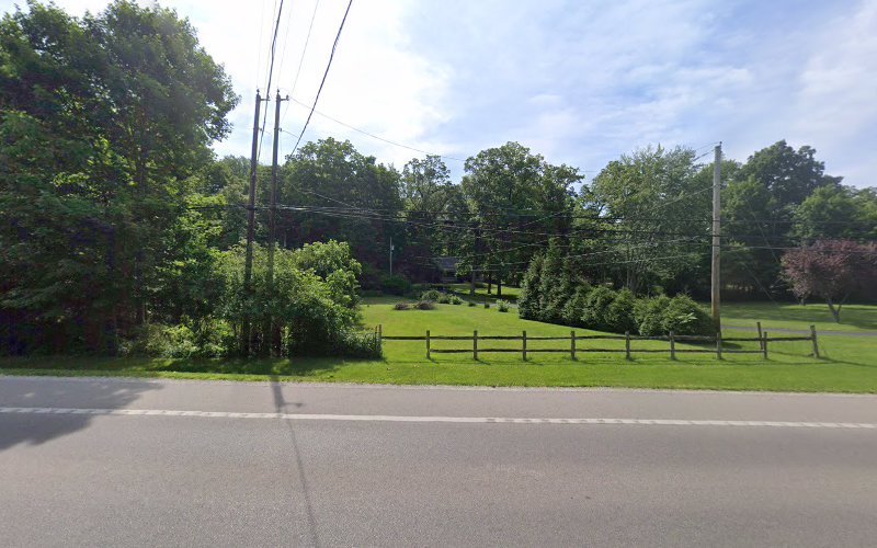 Reese Roofing