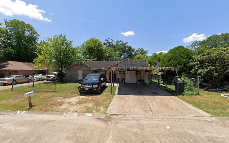 Houston Electric