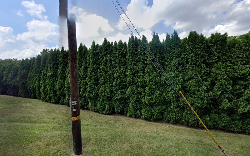 Dun-Rite Electrical Services, Inc.