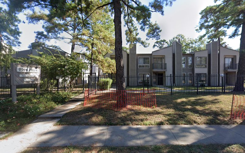 Home Improvement Professionals