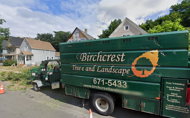 BG Professional Contracting Services