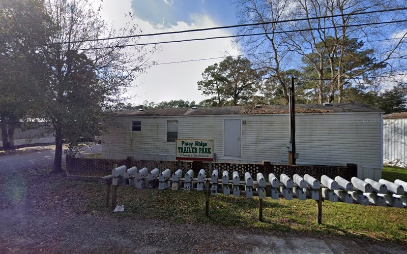 Expert Roofing