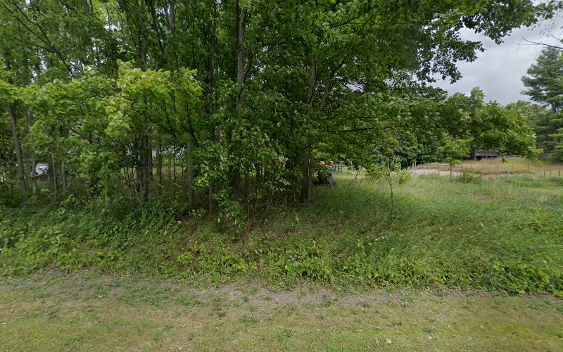 F. J. Flees & Son Pulpwood & Logging, LLC
