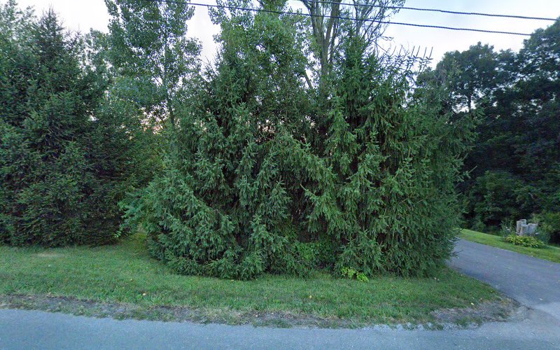 From The Ground Up Landscaping and Contracting LLC