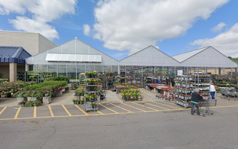 Lowe's Companies Inc.