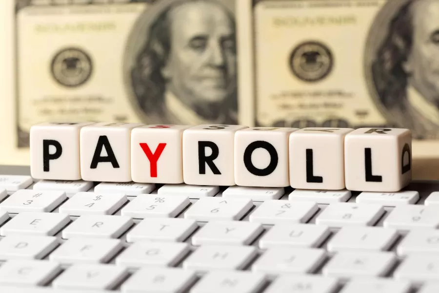 Streamline Your Business with Payroll Services Guidance