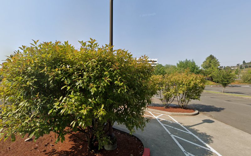 Renewal by Andersen of Greater Sacramento