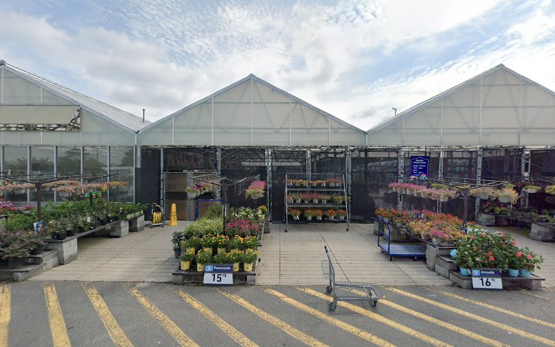 Lowe's Home Improvement