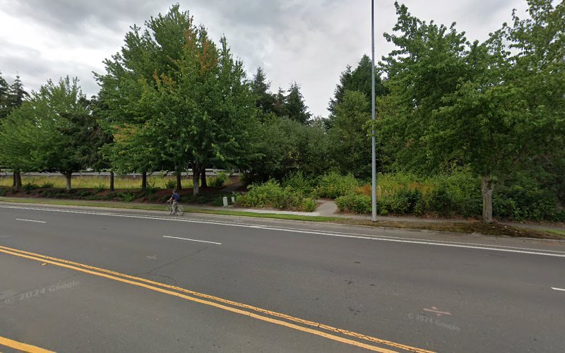 Hillsboro Electric LLC